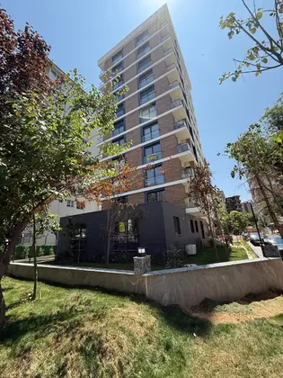 Denge Grup Karanfil 8 — fotoğraf 7